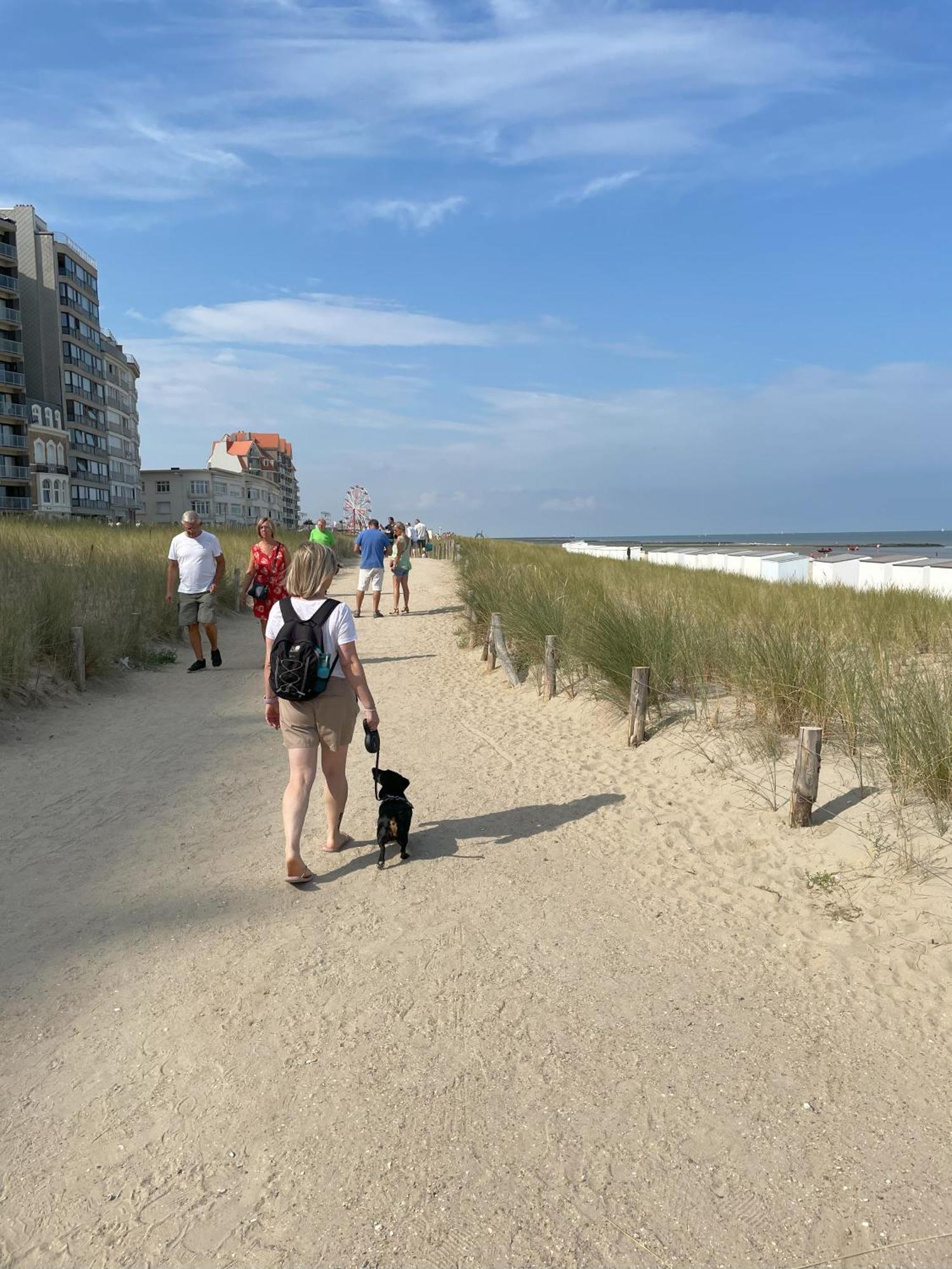 מידלקרק Cosy Duplex In Westende Met 3 Slpk מראה חיצוני תמונה